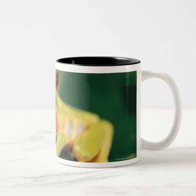 Red eye tree frog Two-Tone coffee mug (Right)