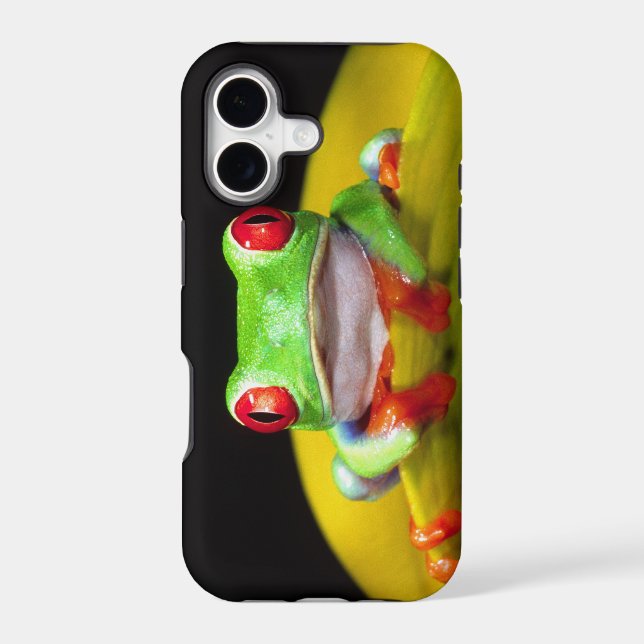 Red Eye Treefrog, Agalychinis callidryas, Native Iphone Case (Back)