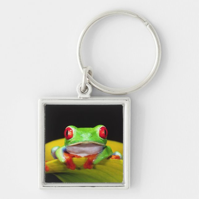 Red Eye Treefrog, Agalychinis callidryas, Native Keychain (Front)