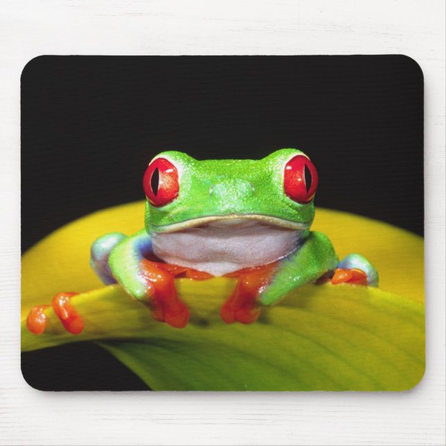 Red Eye Treefrog, Agalychinis callidryas, Native Mouse Pad (Front)