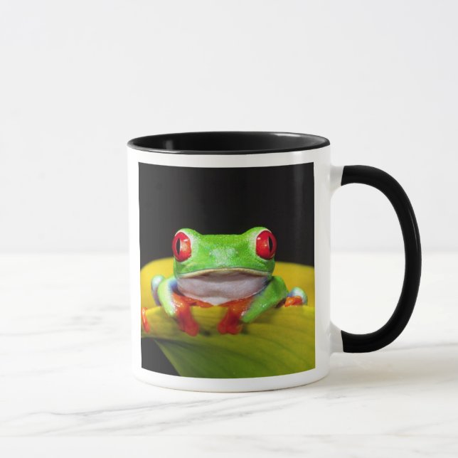 Red Eye Treefrog, Agalychinis callidryas, Native Mug (Right)