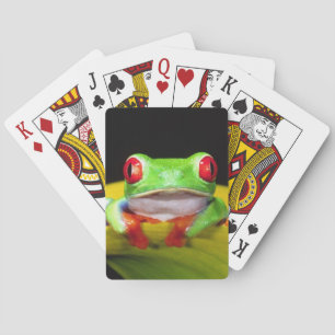 Red Eye Treefrog, Agalychinis callidryas, Native Poker Cards