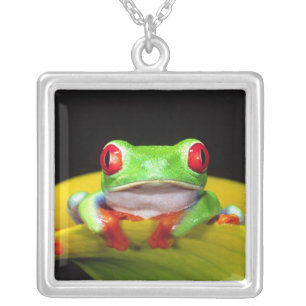 Red Eye Treefrog, Agalychinis callidryas, Native Silver Plated Necklace