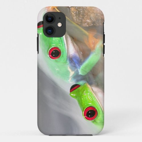Red Eye Treefrog in the mist Agalychinis 2 iPhone 11 Case