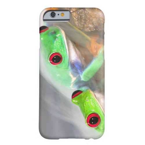 Red Eye Treefrog in the mist Agalychinis 2 Barely There iPhone 6 Case