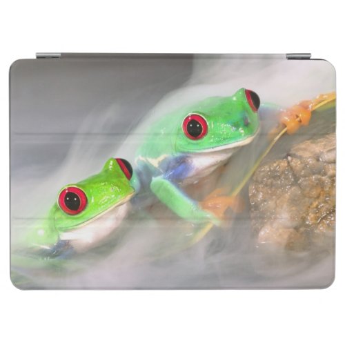 Red Eye Treefrog in the mist Agalychinis 2 iPad Air Cover