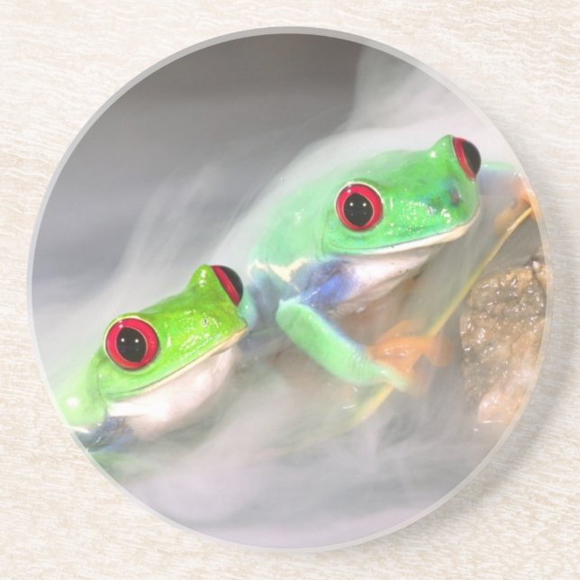 Red Eye Treefrog in the mist, Agalychinis 2 Sandstone Coaster (Front)