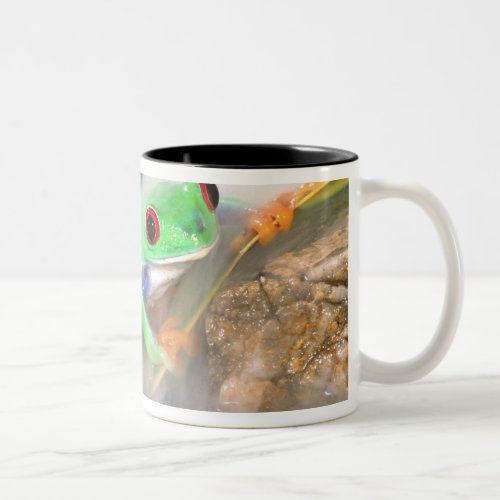 Red Eye Treefrog in the mist Agalychinis 2 Two_Tone Coffee Mug
