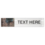 red eyed box turtle reptile animal desk name plate