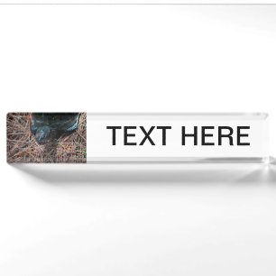red eyed box turtle reptile animal desk name plate