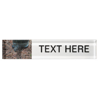 red eyed box turtle reptile animal desk name plate