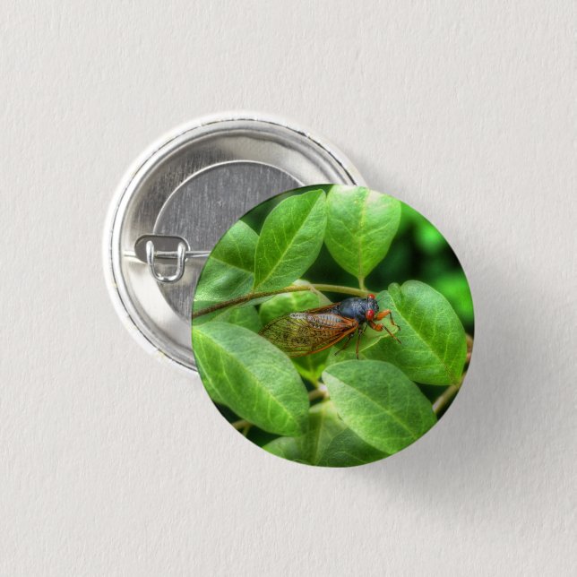 Red Eyed Cicada  Button (Front & Back)