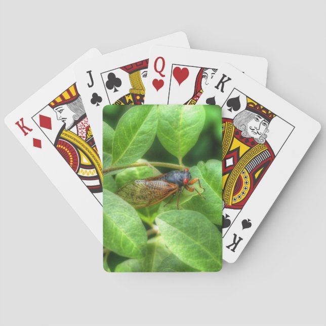 Red Eyed Cicada  Poker Cards (Back)