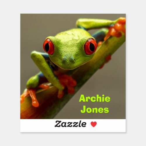 Red_Eyed Frog Looking at You Photo Personalized Sticker