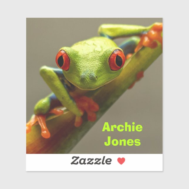 Red-Eyed Frog Looking at You Photo Personalized Sticker (Sheet)