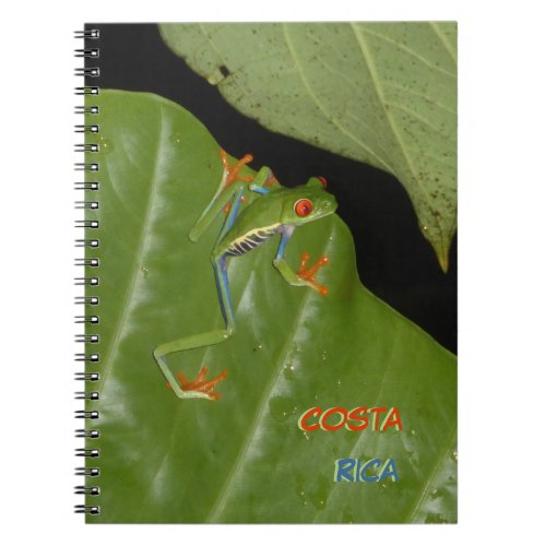 Red Eyed Gaud Frog Cust Text Notebook