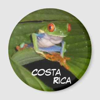 Red Eyed Gaudí Frog Customizable Magnet