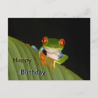 Red Eyed Gaudí Frog Happy Birthday Postcard