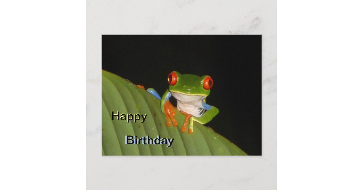 Red Eyed Gaudí Frog Happy Birthday Postcard | Zazzle