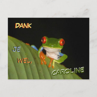 Red Eyed Gaudí Night Frog Thank You Postcard
