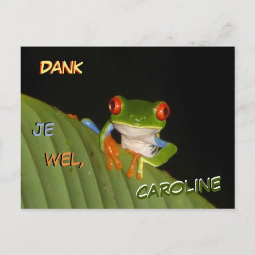 Red Eyed Gaud Night Frog Thank You Postcard