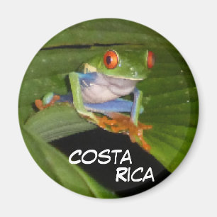 Red Eyed Gaudy Frog Customizable Magnet