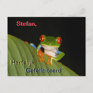 Red Eyed Gaudy Night Frog Birthday Postcard