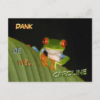 Red Eyed Gaudy Night Frog Thank You Postcard