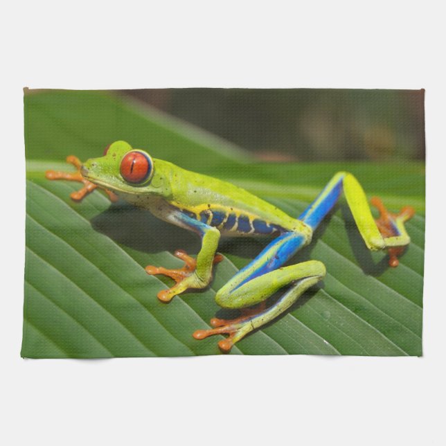 Red Eyed Green Tree Frog Towel (Horizontal)