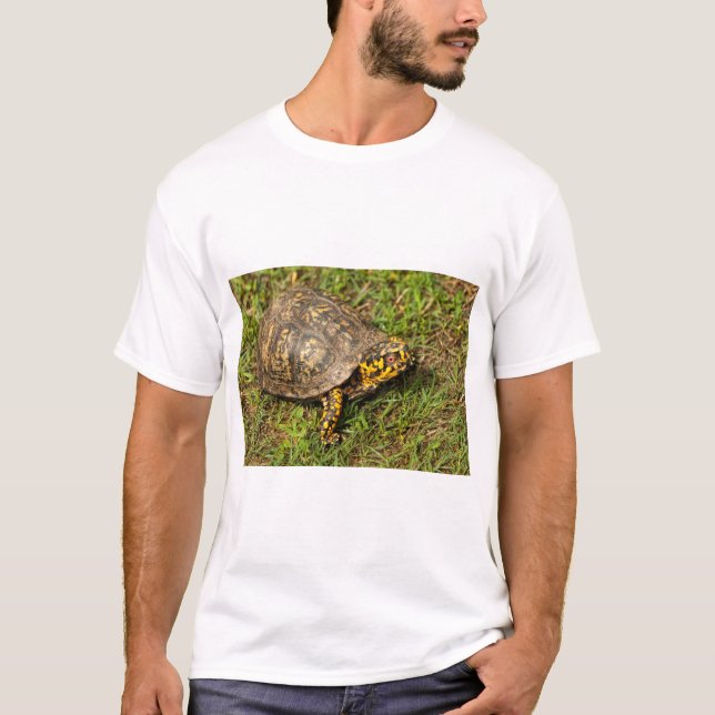 Red Eyed Male Box Turtle T-Shirt (Front)
