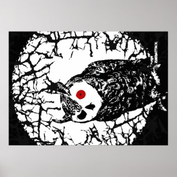 Red Eyed Owl Poster by ZachAttackDesign at Zazzle
