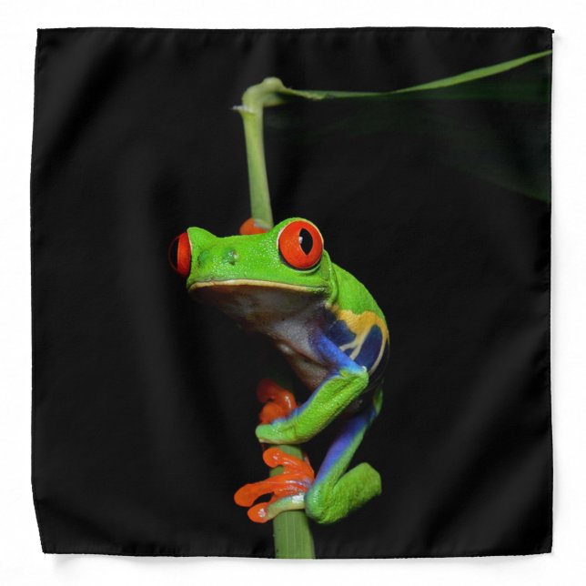 Red Eyed Painted Frog Bandana (Front)