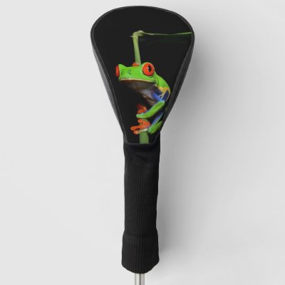 Red Eyed Painted Frog