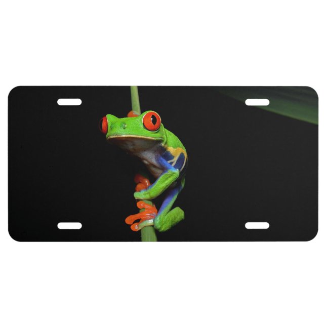 Red Eyed Painted Frog License Plate (Front)