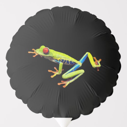 Red Eyed Painted Tree Frog  Balloon