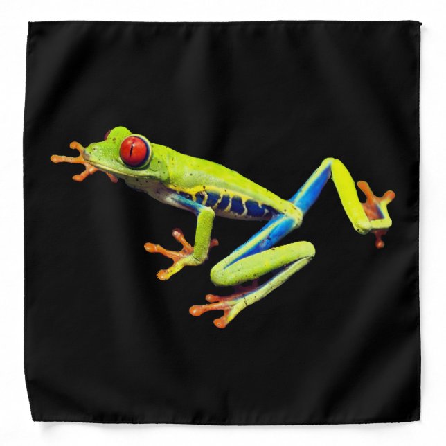 Red Eyed Painted Tree Frog  Bandana (Front)