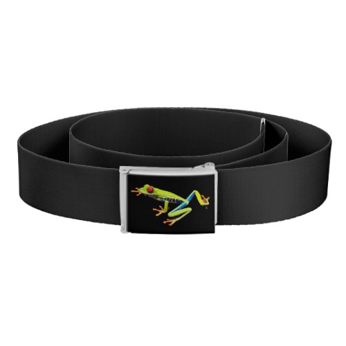 Red Eyed Painted Tree Frog  Belt