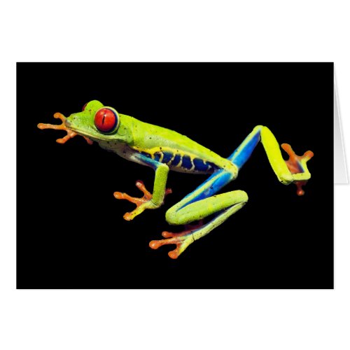 Red Eyed Painted Tree Frog Blank Inside