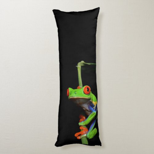 Red Eyed Painted Tree Frog Body Pillow