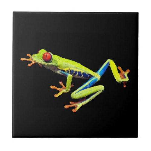 Red Eyed Painted Tree Frog  Ceramic Tile