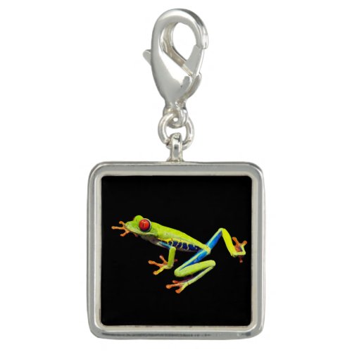 Red Eyed Painted Tree Frog  Charm
