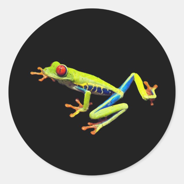 Red Eyed Painted Tree Frog  Classic Round Sticker (Front)