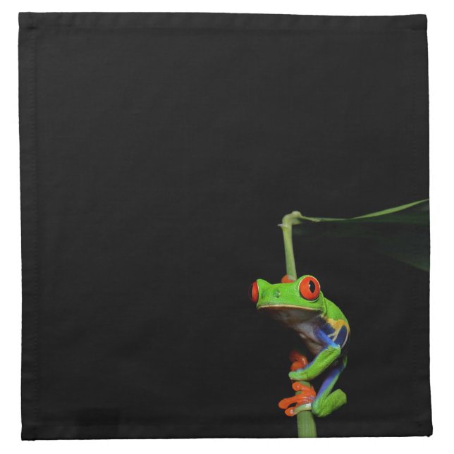 Red Eyed Painted Tree Frog Cloth Napkin (Front)