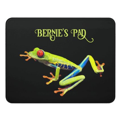 Red Eyed Painted Tree Frog 