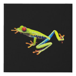 Red Eyed Painted Tree Frog  Faux Canvas Print