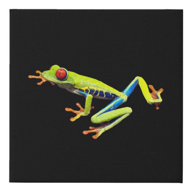 Red Eyed Painted Tree Frog  Faux Canvas Print (Front)