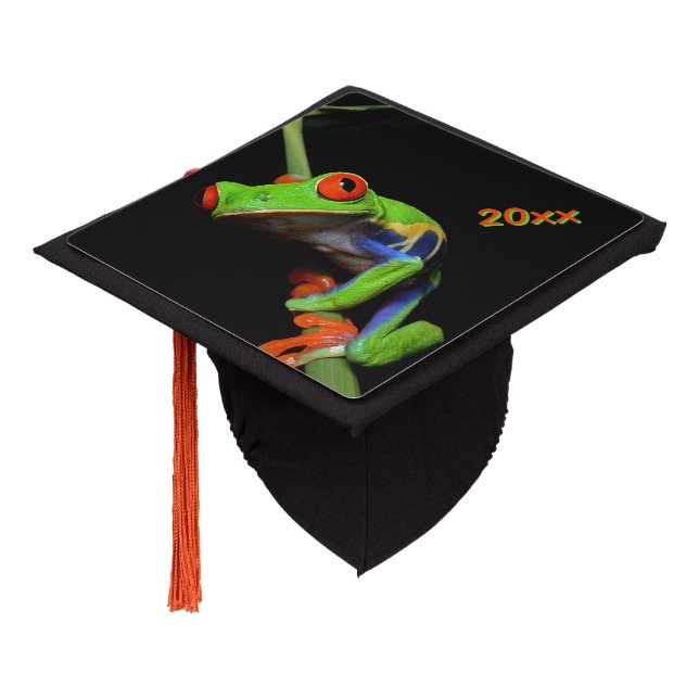 Red Eyed Painted Tree Frog Graduation Cap Topper (Angled)