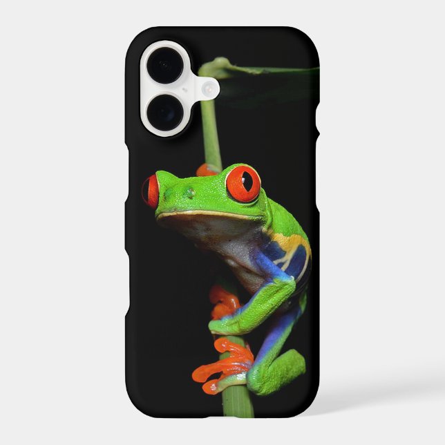 Red Eyed Painted Tree Frog Iphone Case (Back)