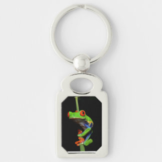 Red Eyed Painted Tree Frog Keychain