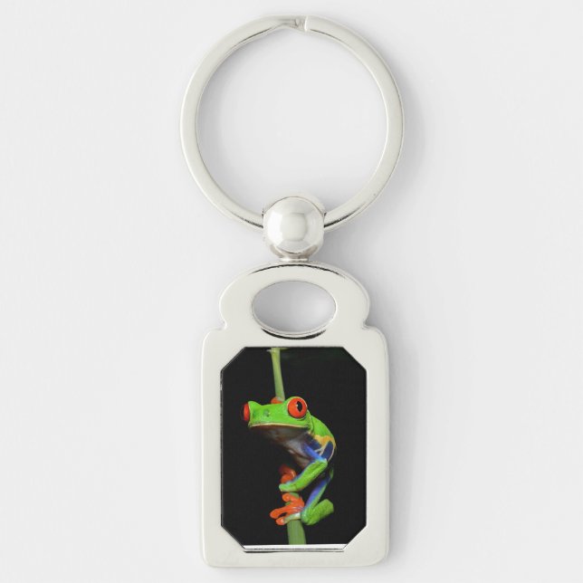 Red Eyed Painted Tree Frog Keychain (Front)